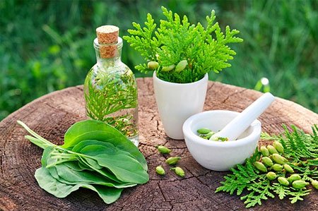 Herbal Medicine