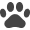 Pets